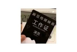 麻豆传媒上门保险推销员：为您带来专业保险服务的选择