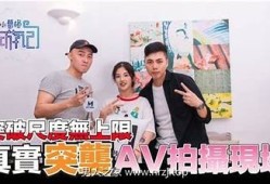 揭秘麻豆直播传媒：如何快速吸引粉丝与提升直播收益？