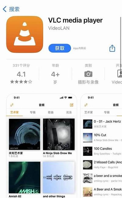 麻豆传媒AVI播放器使用教程与下载指南
