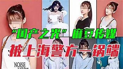麻豆传媒上门保险推销员：为您带来专业保险服务的选择