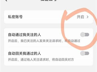 安全分享：抖音账户密码保护技巧与防盗秘籍