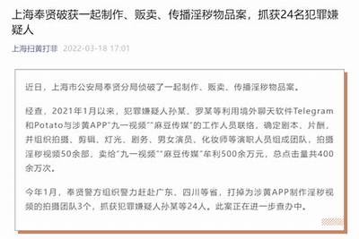 麻豆传媒的法律风险：为何没人真正查处？揭秘背后的背景
