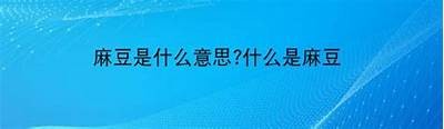 揭秘麻豆直播传媒：如何快速吸引粉丝与提升直播收益？