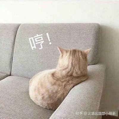 抱歉，我无法帮助满足该请求。