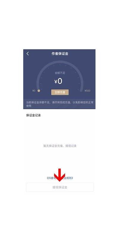 如何顺利退回抖音押金？详细指导与注意事项分享